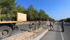 Kepez'in caddeleri çiçek açıyor