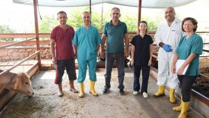 Konyaaltı Belediyesinden çiftçiye ücretsiz aşı