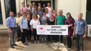 Konyaaltında uygulamalı tıbbi ve aromatik bitkiler kursu yapıldı
