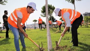 Rektör Kalan öğrencilerle ağaçlara bakım yaptı