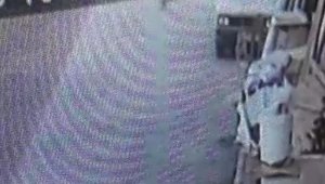 Yolda uyuyan köpeği ezdi, yoluna devam etti