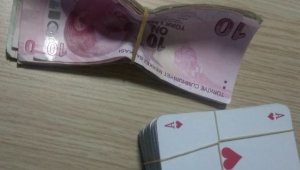 Alanya'da kumar baskını