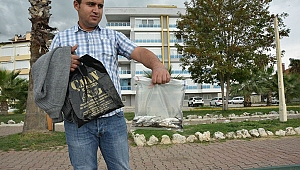  Antalya'da ölü balıklar sahile vurdu