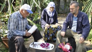 Bahçede kilosu, tezgahta tanesi 30 lira