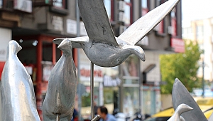 Cennet Kuşları’na bakım