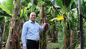 ELEKTRİK FİYATLARI ÇİFTÇİ İÇİN YÜKSEK