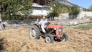 Konyaaltı Belediyesi fasulye hasatı yaptı