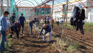 Kumluca'da öğrenciler kışlık sebze ekimi yaptı