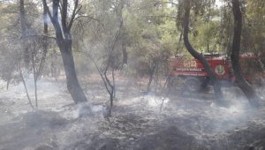 Kumluca'da orman yangını