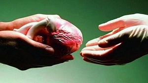 ORGAN BAĞIŞINDA  doğru sanılan 10 yanlış