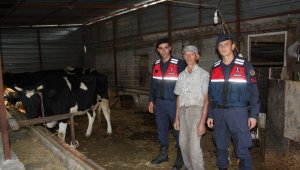 Ümidini kestiği 4 inek ve 1 buzağıya 1 gün sonra kavuştu