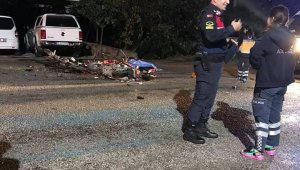 Alanya'da 2 motosiklet kafa kafaya çarpıştı: 1 ölü