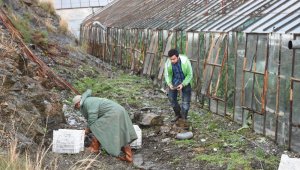 Alanya'da yağmur ve fırtına seraları vurdu