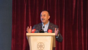 Bakan Çavuşoğlu: "Macron Sarkozy'den beter çıktı"