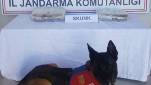 Kazakların içine sakladığı 150 bin TL değerinde uyuşturucuyla otobüste yakalandı
