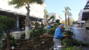 Kemer'de peyzaj çalışması