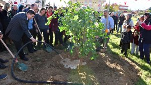 Kepez'de 5 bin metrekare alan çimlendirildi
