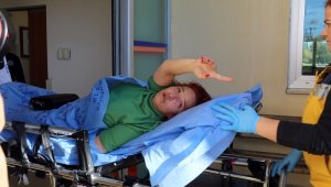 Komşusuyla gürültü kavgasına giren kadın bıçaklandı