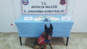 Laptop çantasında 1 milyon 250 bin liralık kokain ele geçirildi