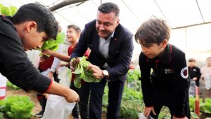 Minikler kurdukları serada organik sebze yetiştiriyor