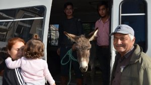 Yaylaya terk edilen eşek için seferber oldular