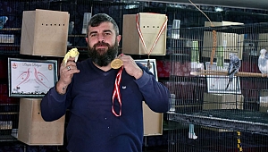 200 muhabbet  kuşu besliyor