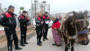 'Gangsterlik yaptık, banka soyduk çek çek'