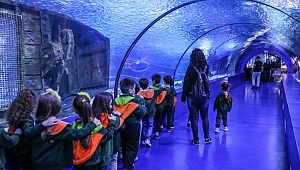 Akvaryum'da 1 milyon  ziyaretçi hedefi