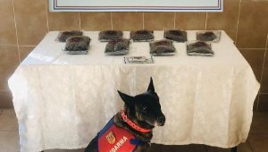 Antalya'da uyuşturucu operasyonu: 1 tutuklama