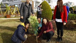 Engelli öğrenciler fidan dikti