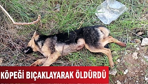 KÖPEĞİ BIÇAKLAYARAK ÖLDÜRDÜ