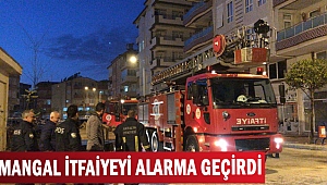 MANGAL İTFAİYEYİ  ALARMA GEÇİRDİ