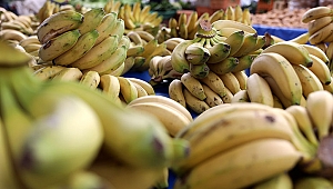 Piyasanın lideri yerli muz oldu