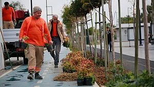 Sahilde geniş kapsamlı çalışma