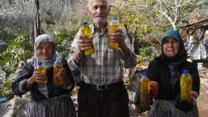 Atalarından kalma yöntemle zeytinyağı üretiyorlar