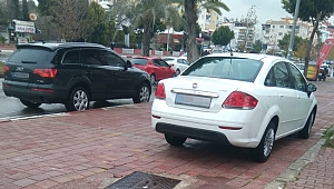 Fahri trafik  müfettişlerinden  27 bini aşkın tutanak