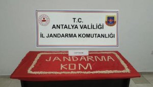 Jandarmadan uyuşturucu operasyonu 