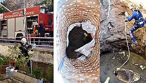 MAHSUR KEDİ KURTARILDI