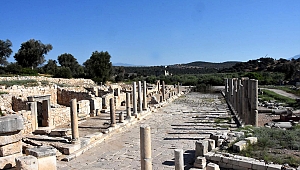 PATARA YILI SEVİNCİ