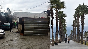 ŞİDDETLİ RÜZGAR DEV DALGALAR OLUŞTURDU 