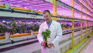 Türkiye'nin ilk bitki fabrikası