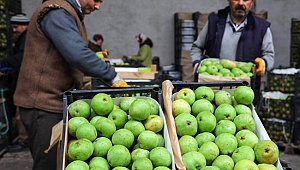 Üreticiden karyağdı  armudu itirafı