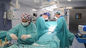 AÜ’de 23 yılda  5 bin 408 nakil