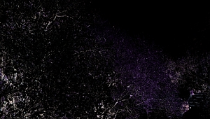 Badem ağaçları  çiçek açtı