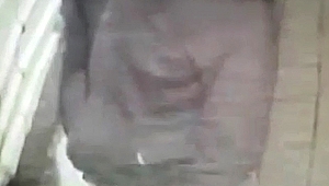 Bahçe şemsiyesi  hırsızı yakalandı