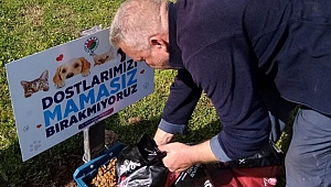 Can dostlar  emin ellerde