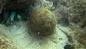 Denizde tarihi top  mermileri bulundu