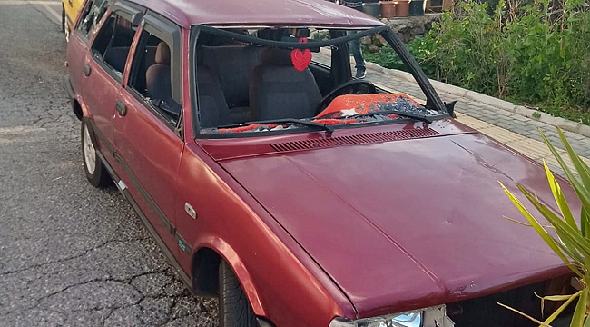 Eniştesinin aracına sopayla zarar verdi