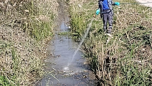 İlçelerde yoğun   ilaçlama çalışması
