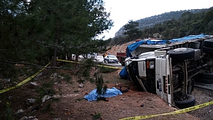 Kamyon devrildi sürücü yaralandı